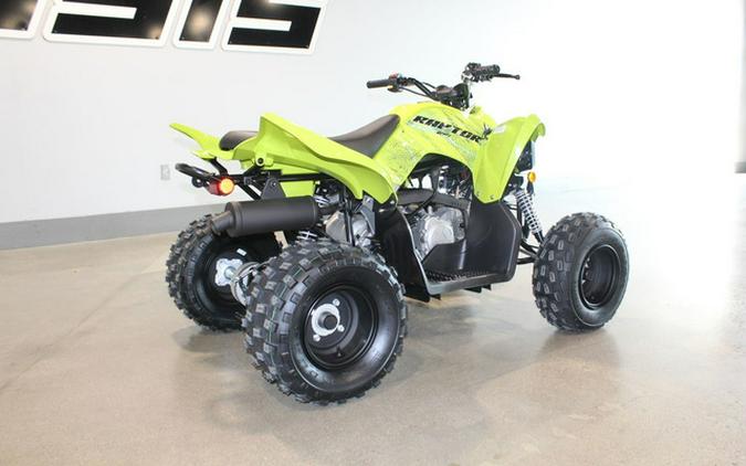 2026 Yamaha Raptor 110