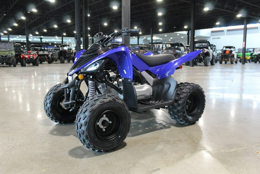 2026 Yamaha Raptor 110