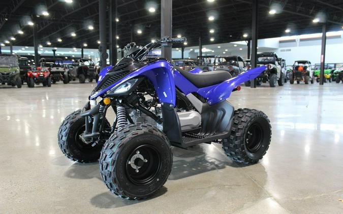 2026 Yamaha Raptor 110