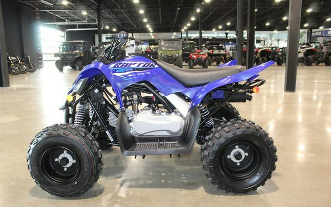 2026 Yamaha Raptor 110