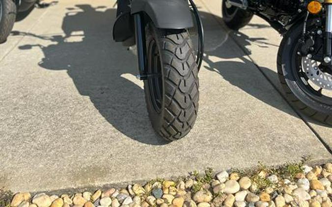 2024 Honda Ruckus