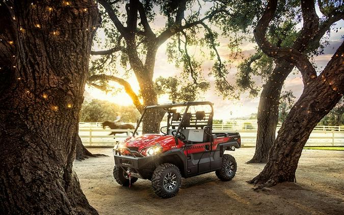 2018 Kawasaki Mule PRO-FXR