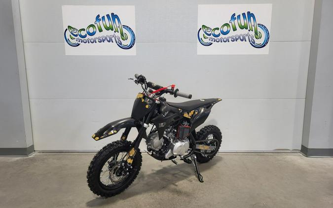 2026 BLP V2 110 Dirt Bike
