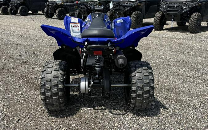 2026 Yamaha Raptor 110