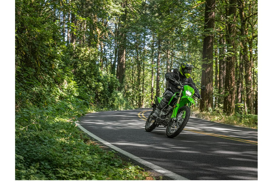 2024 Kawasaki KLX 300