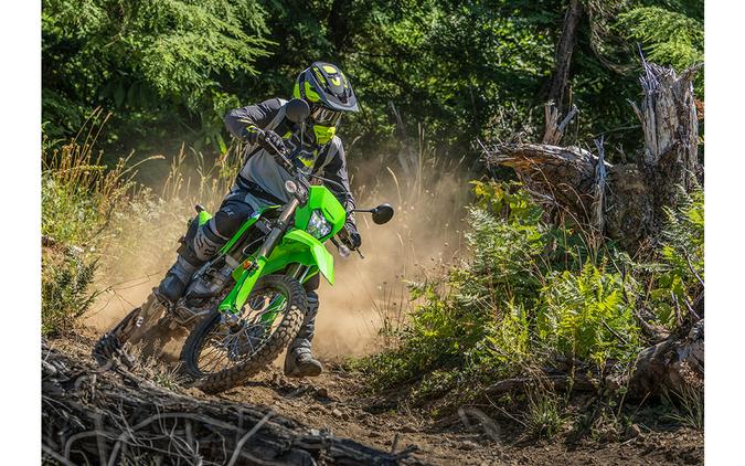 2024 Kawasaki KLX 300