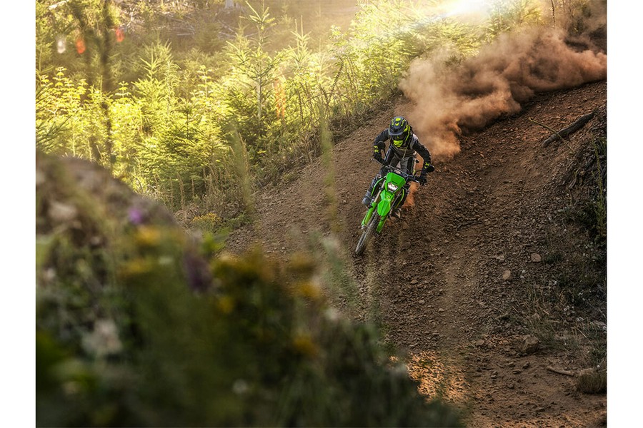 2024 Kawasaki KLX 300