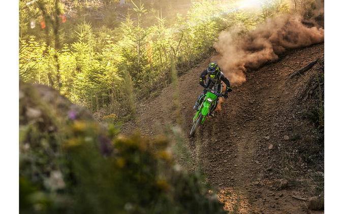 2024 Kawasaki KLX 300
