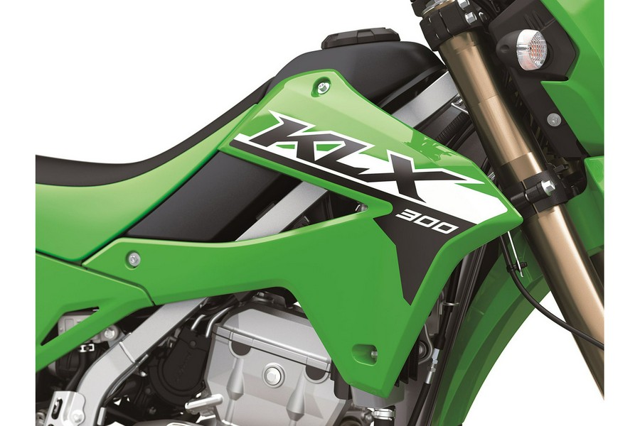 2024 Kawasaki KLX 300
