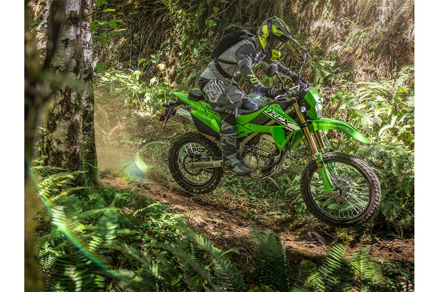 2024 Kawasaki KLX 300
