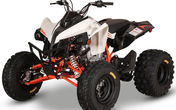 2027 Kayo Storm 300 EFI