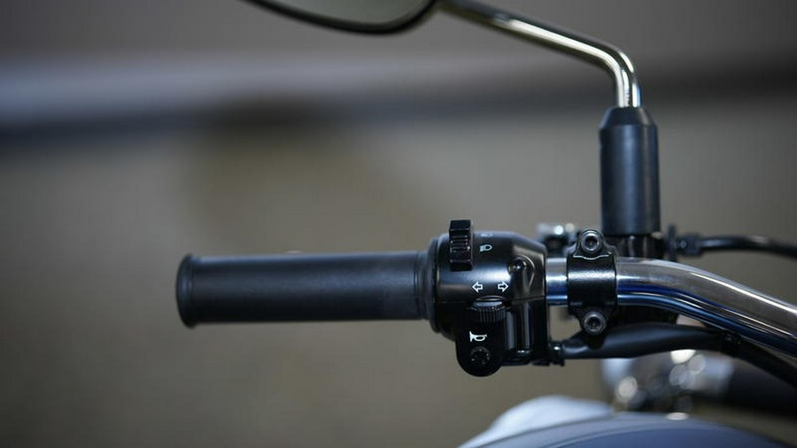 2024 Kawasaki W800 ABS