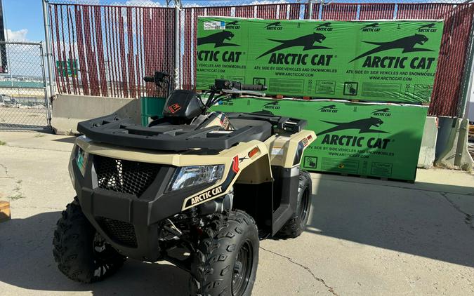 2024 Arctic Cat Off Road Alterra 300 2x4