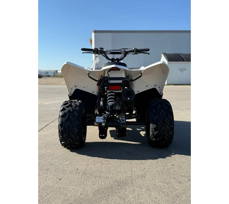 2026 Kawasaki KFX®50