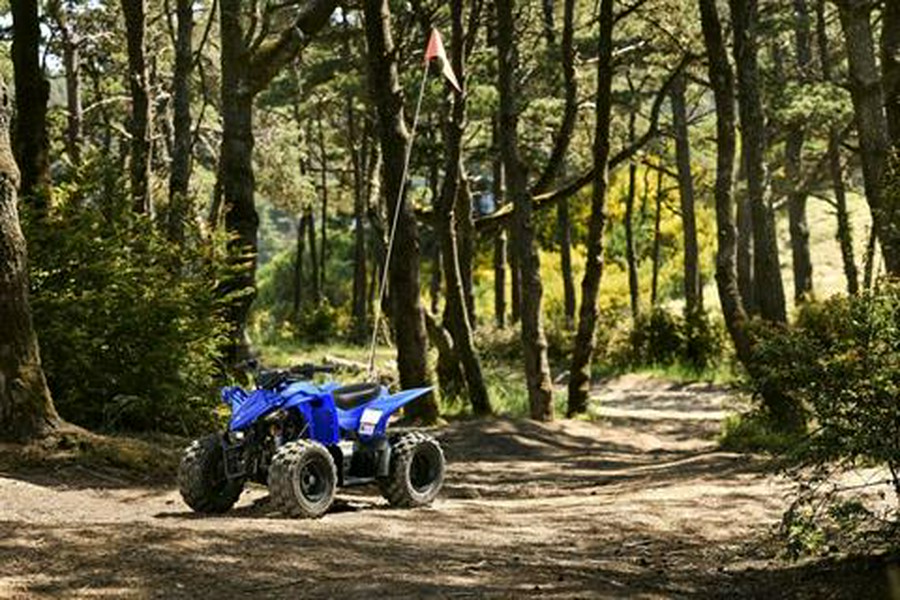 2027 Yamaha YFZ50