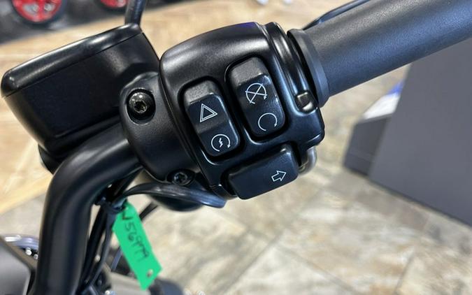 2022 Harley-Davidson Sportster Iron 883