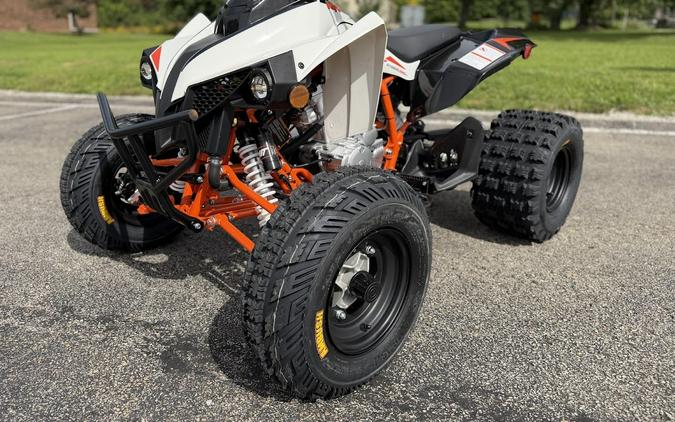 2027 Kayo Storm 300 EFI