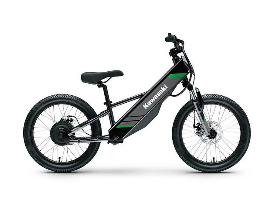 2025 Kawasaki Elektrode® 20