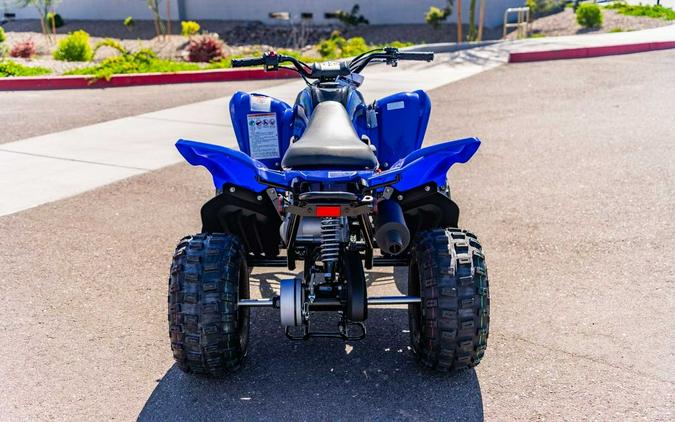 2024 Yamaha Raptor 110