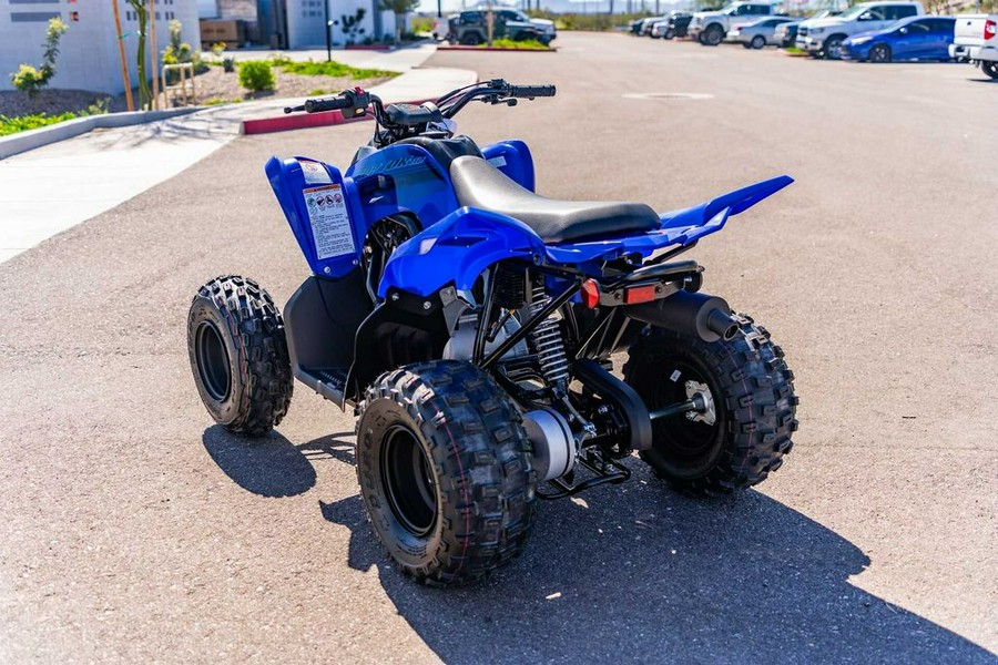 2024 Yamaha Raptor 110