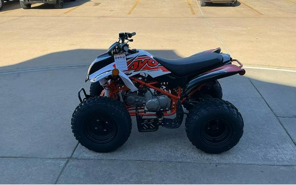 2025 Kayo Storm 150 EFI