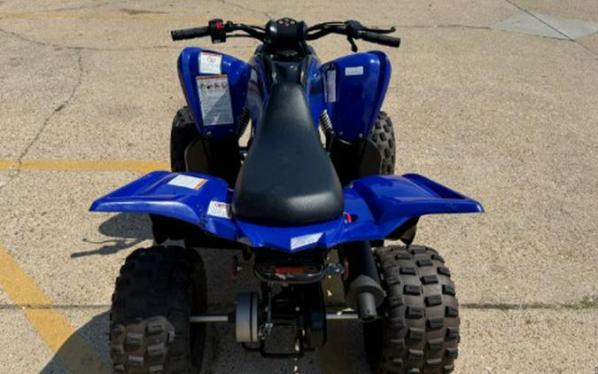 2024 Yamaha Raptor 110