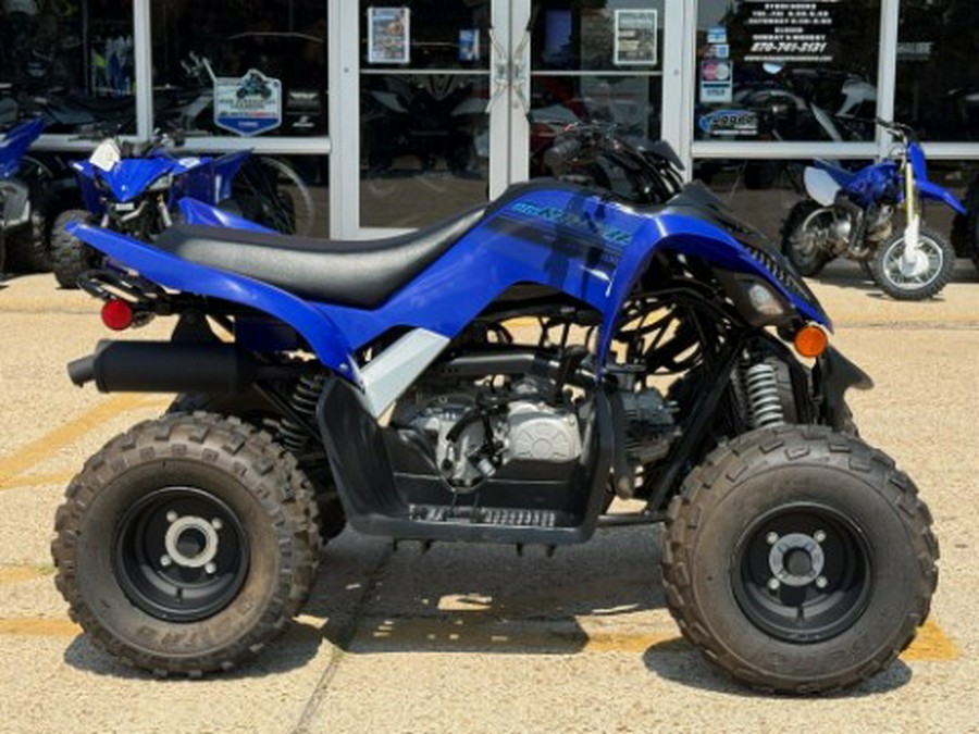 2024 Yamaha Raptor 110