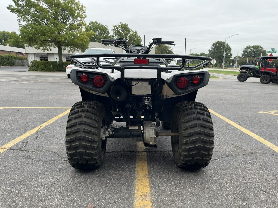 2023 KAWASAKI BRUTE FORCE 300