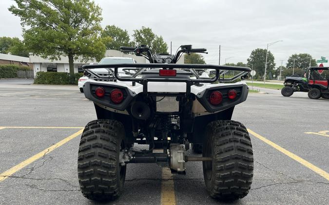 2023 KAWASAKI BRUTE FORCE 300