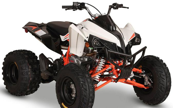 2027 Kayo Storm 300 EFI