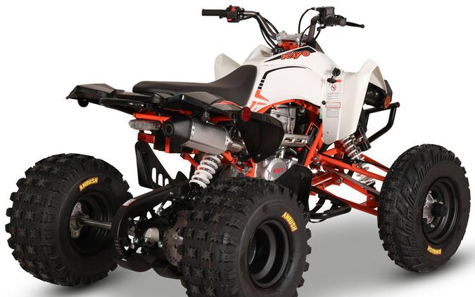 2027 Kayo Storm 300 EFI