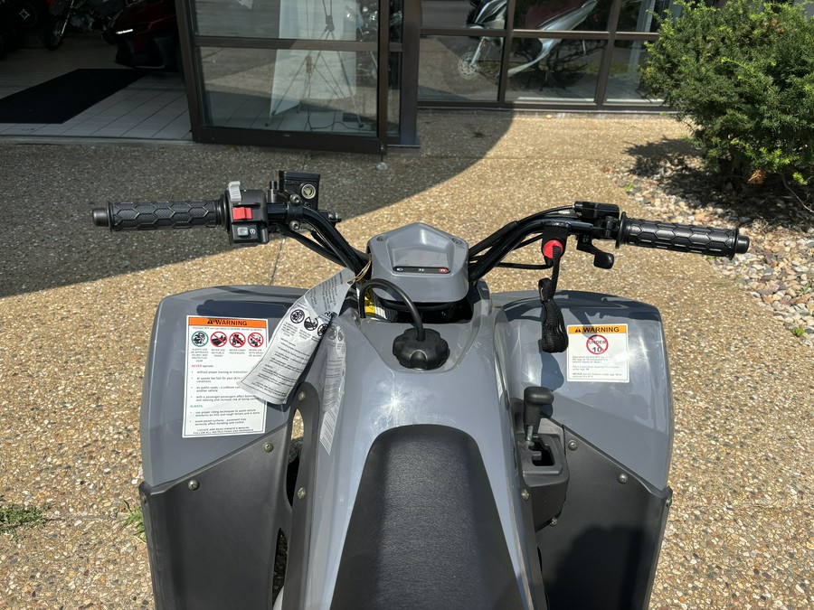 2023 KYMCO Mongoose 90S