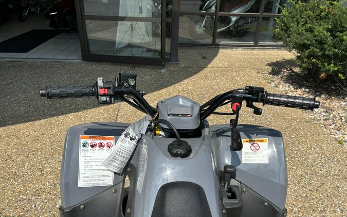 2023 KYMCO Mongoose 90S