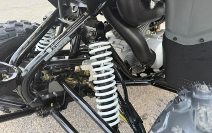 2023 Polaris Phoenix 200