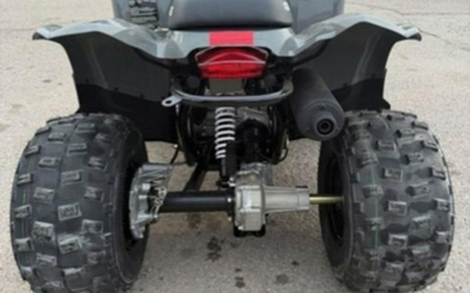 2023 Polaris Phoenix 200