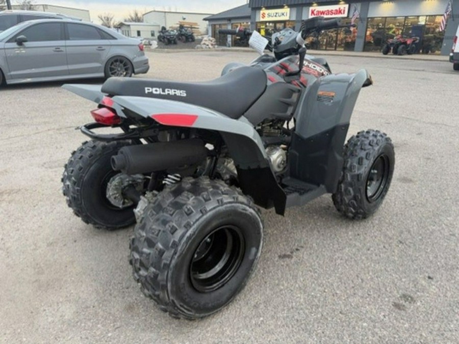 2023 Polaris Phoenix 200