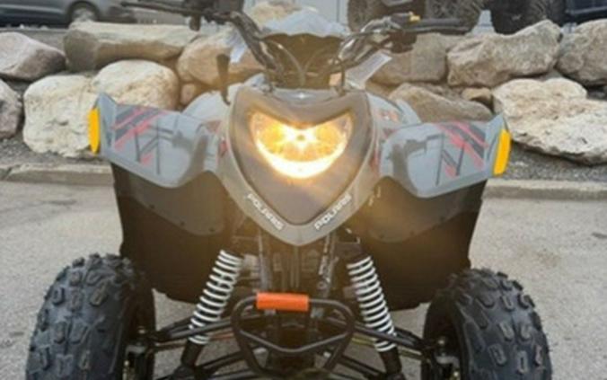 2023 Polaris Phoenix 200