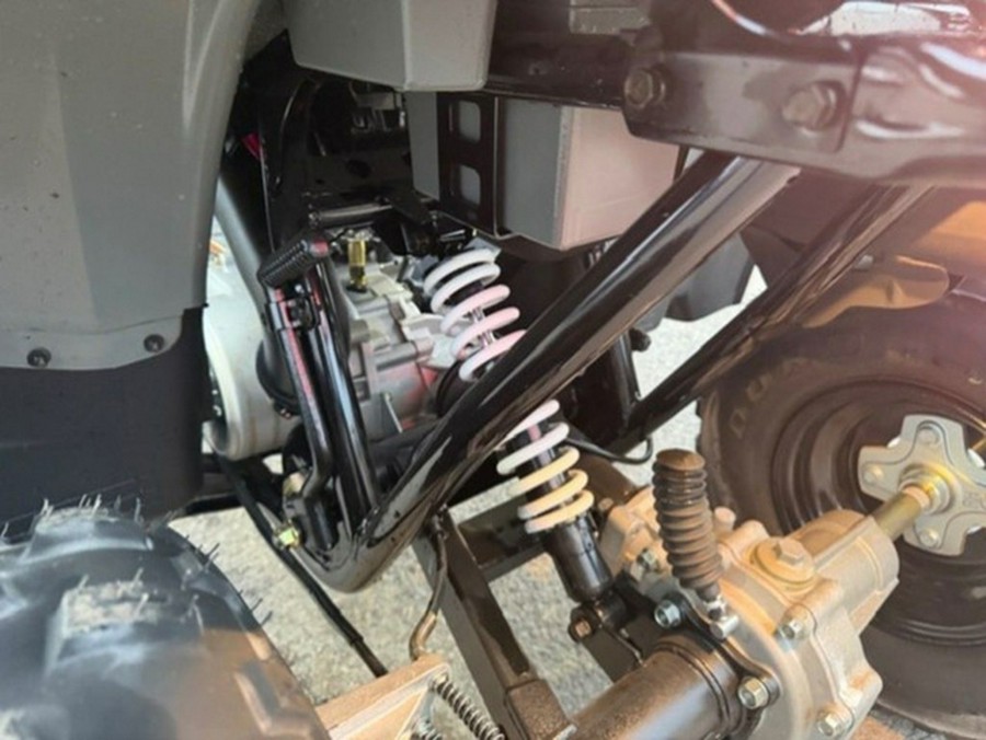 2023 Polaris Phoenix 200