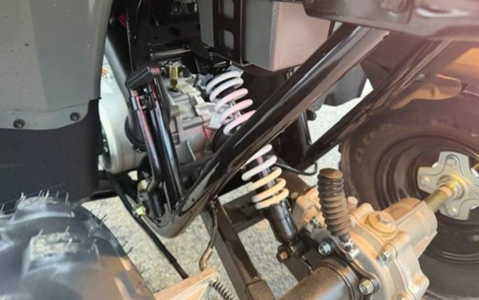 2023 Polaris Phoenix 200