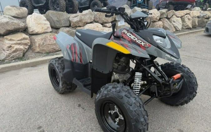 2023 Polaris Phoenix 200