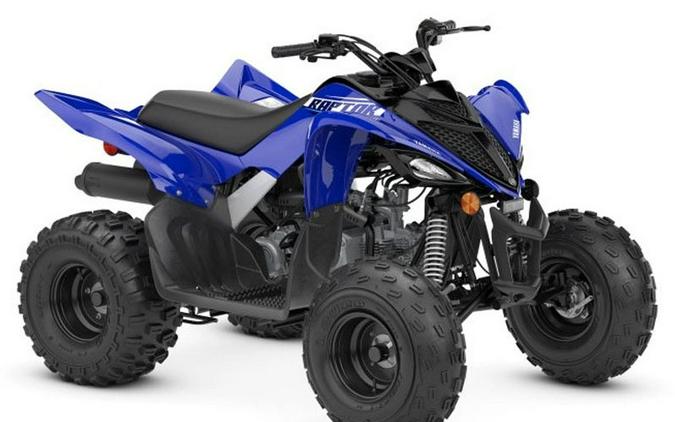 2026 Yamaha Motor Corp., USA Raptor 110