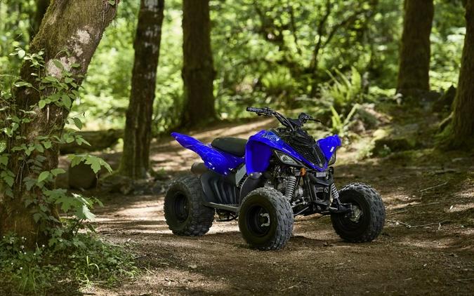 2026 Yamaha Motor Corp., USA Raptor 110
