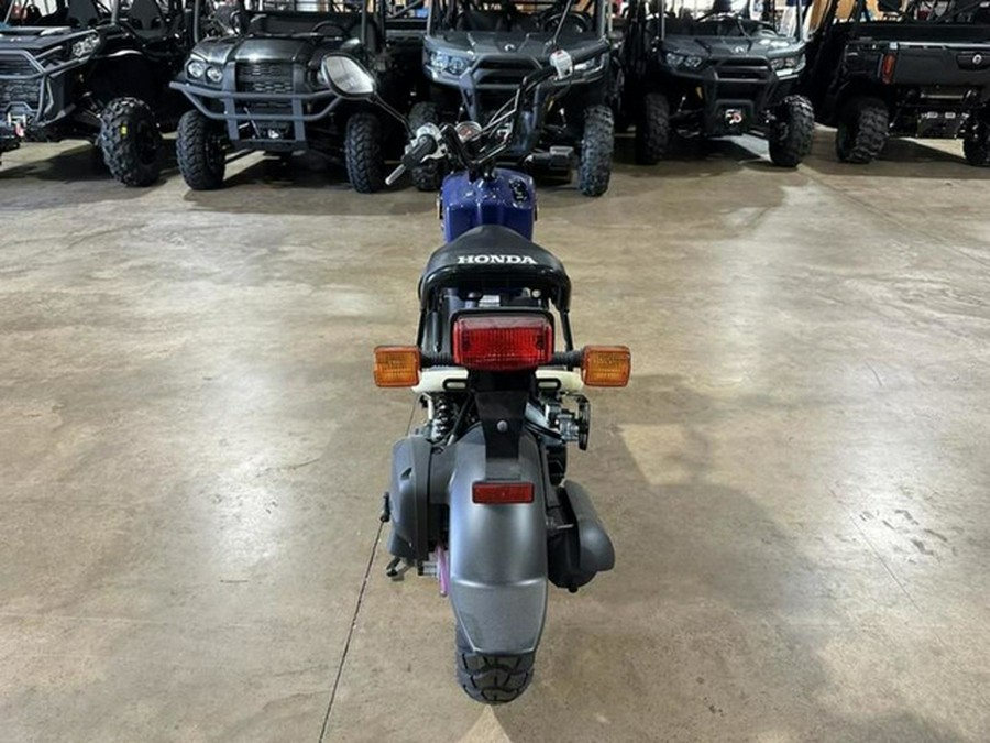 2023 Honda Ruckus Base