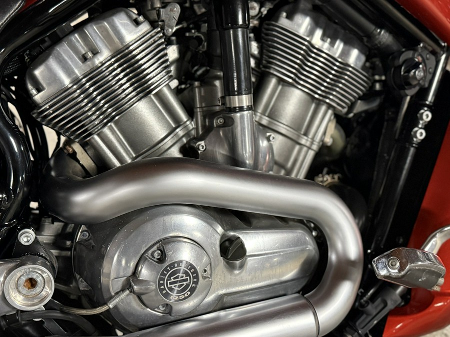2013 Harley-Davidson V-Rod Muscle®