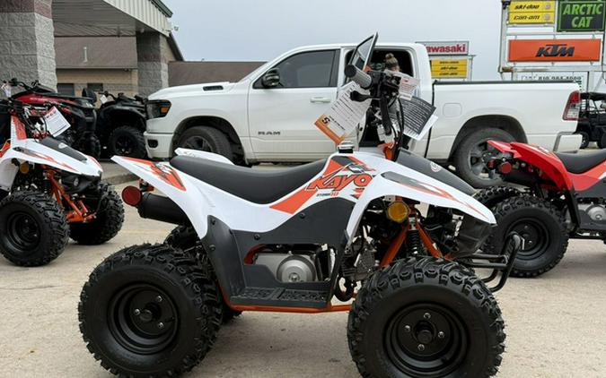 2026 Kayo Fox / Storm 70