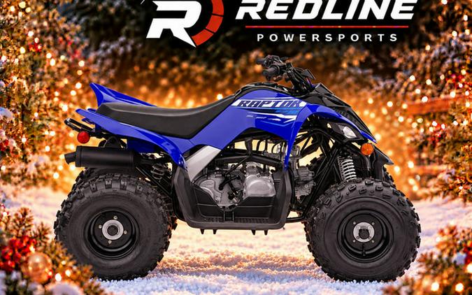 2026 Yamaha Raptor 110