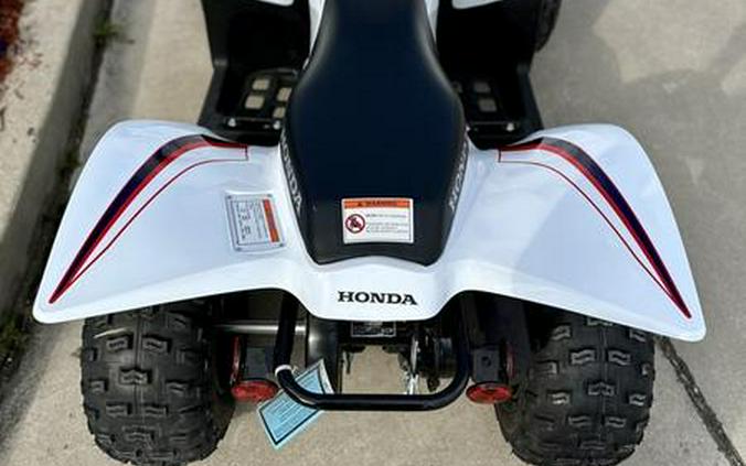 2023 Honda® TRX90X