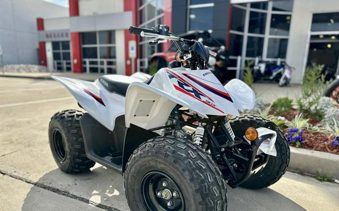 2023 Honda® TRX90X