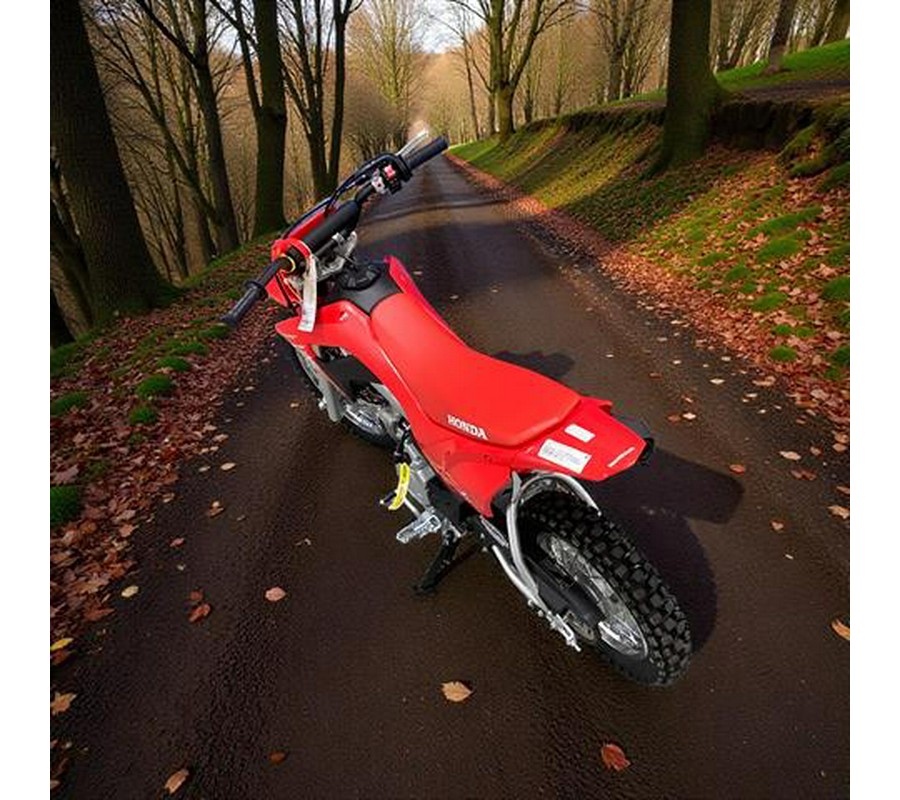 2026 Honda CRF110FT