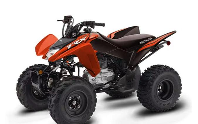 2024 Honda® TRX250X